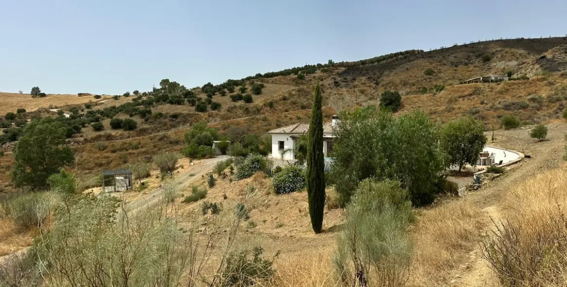 Sale of detached villa in Alora 2