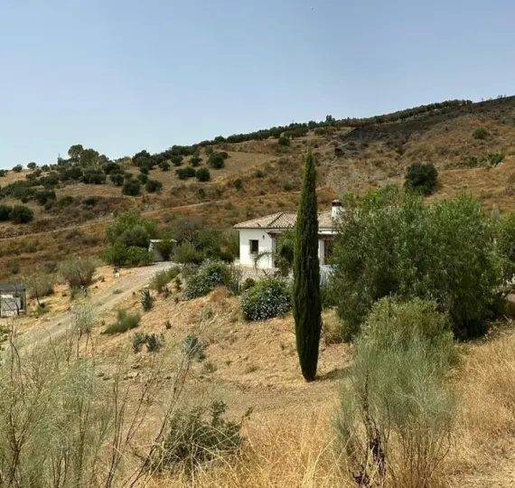 Sale of detached villa in Alora