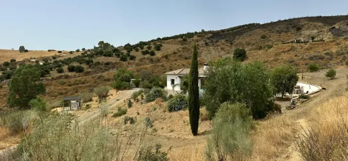 Sale of detached villa in Alora 1