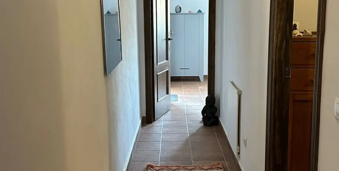 Sale of detached villa in Alora 12