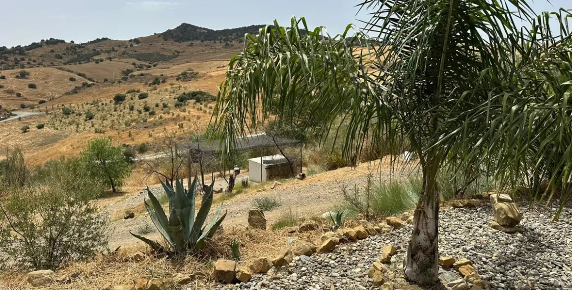 Sale of detached villa in Alora 26