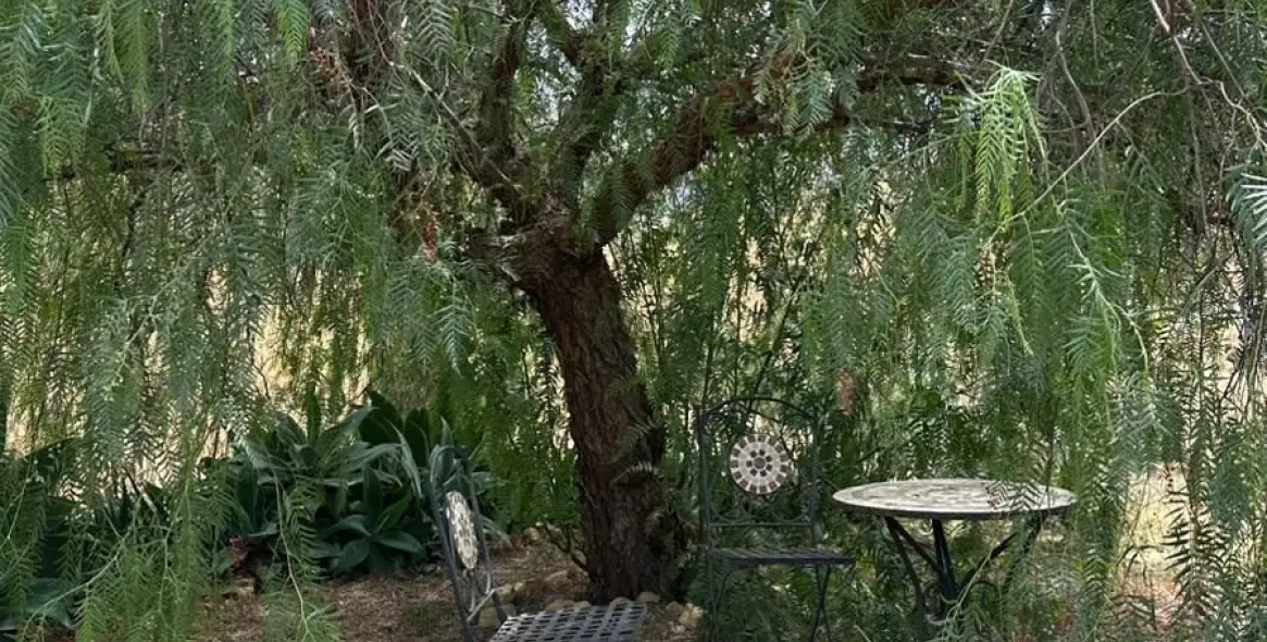 Sale of detached villa in Alora 28