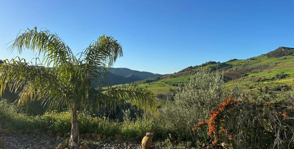 Sale of detached villa in Alora 29