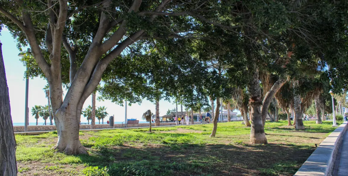 Sale of semi-detached house in Torre del Mar 11