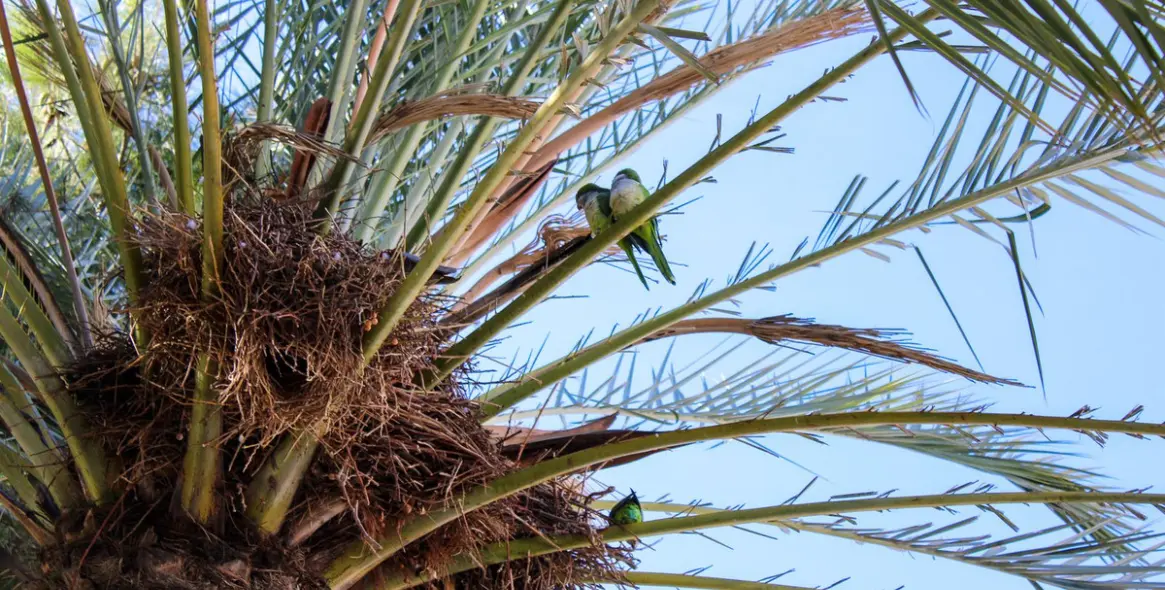 Продажа дома на две семьи в Torre del Mar 10