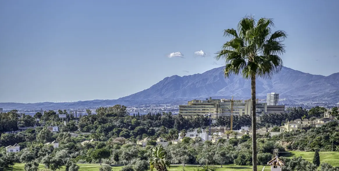 Sale of detached villa in El Rosario 18