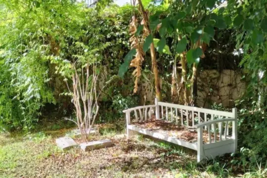 Image 11 thumb