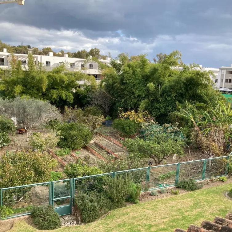 Sale of residential plot in Casares