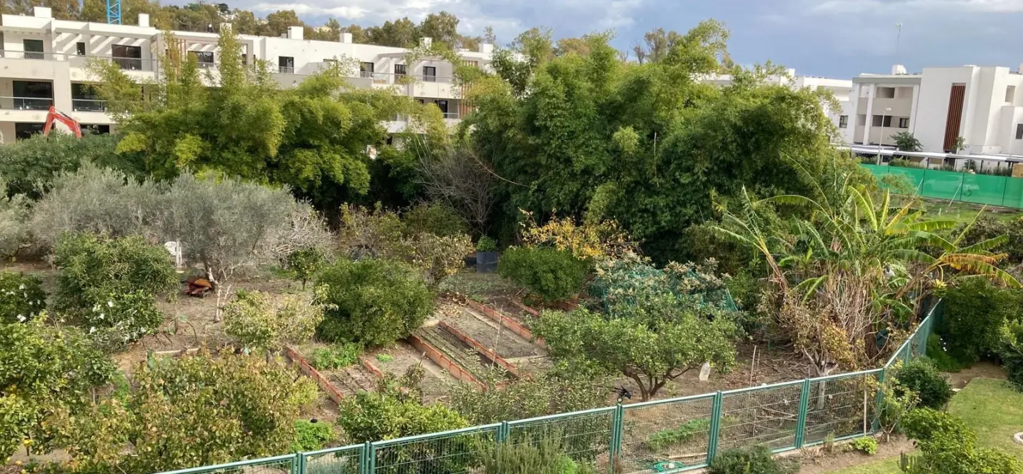 Sale of residential plot in Casares 2