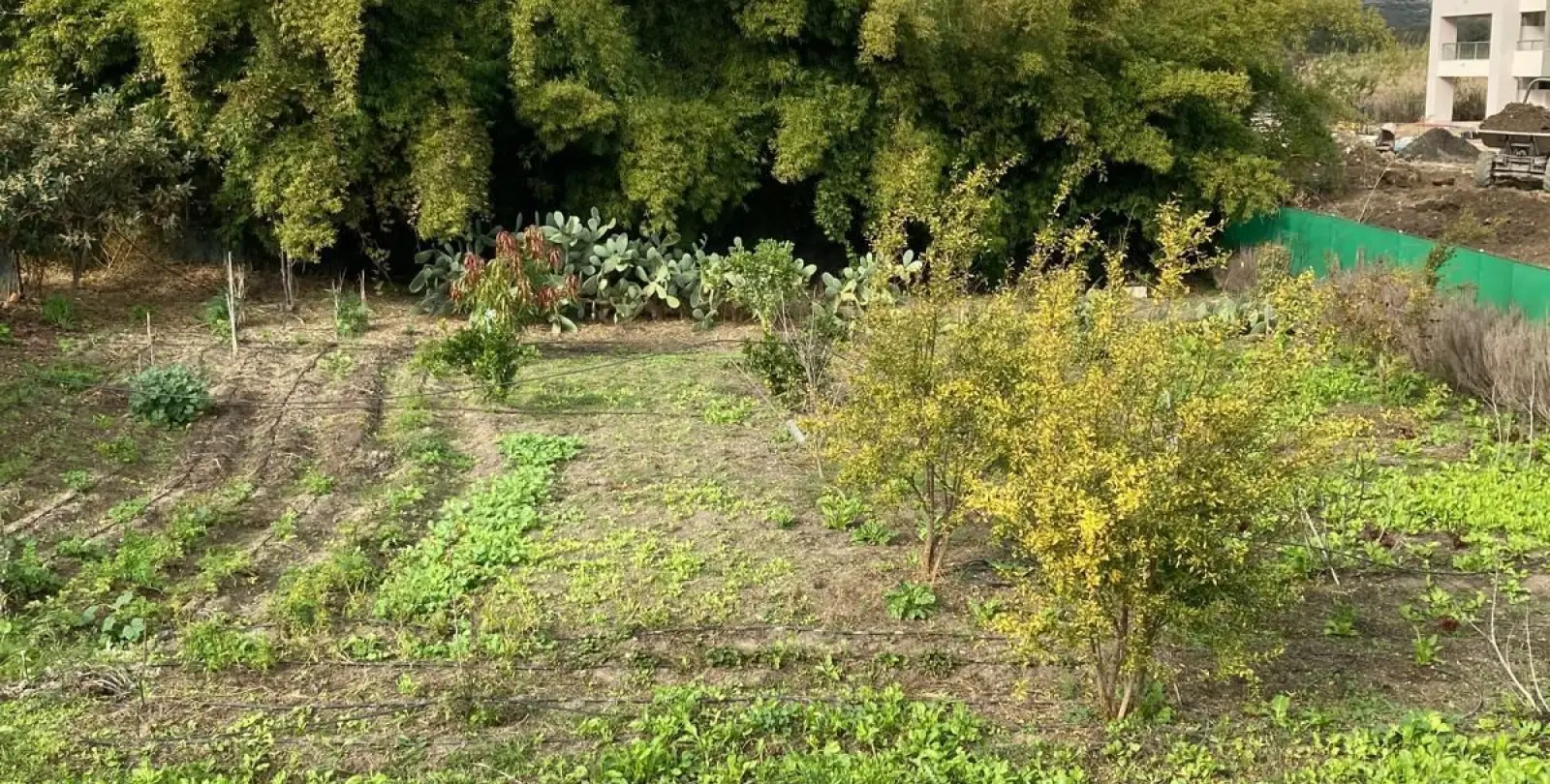 Sale of residential plot in Casares 4