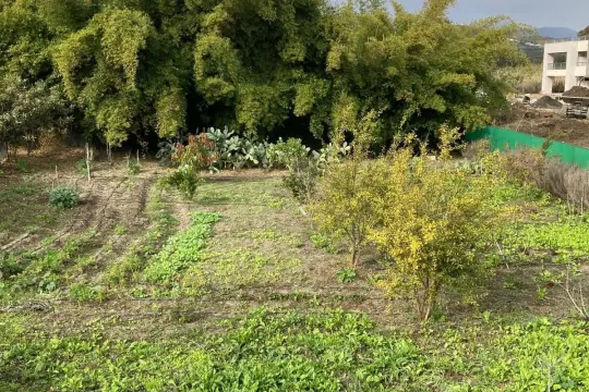 Image 4 thumb