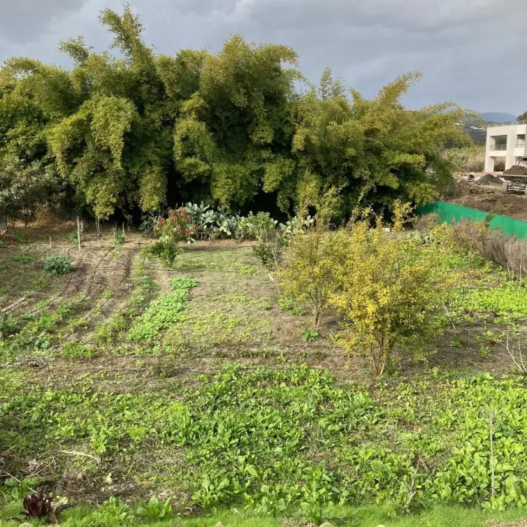 Sale of residential plot in Casares