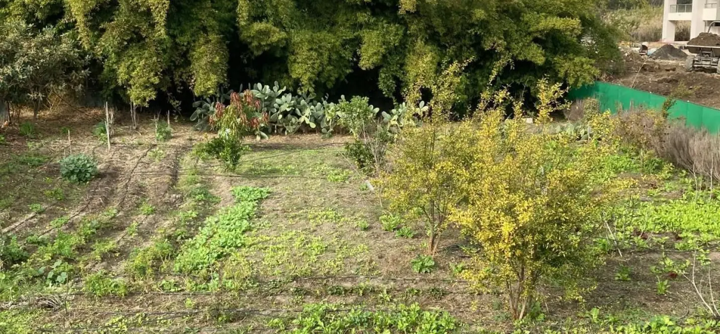 Sale of residential plot in Casares 3