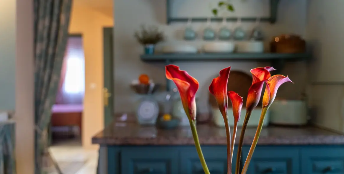 Продажа таунхауса в San Pedro de Alcántara 16