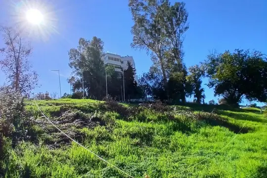 Image 6 thumb