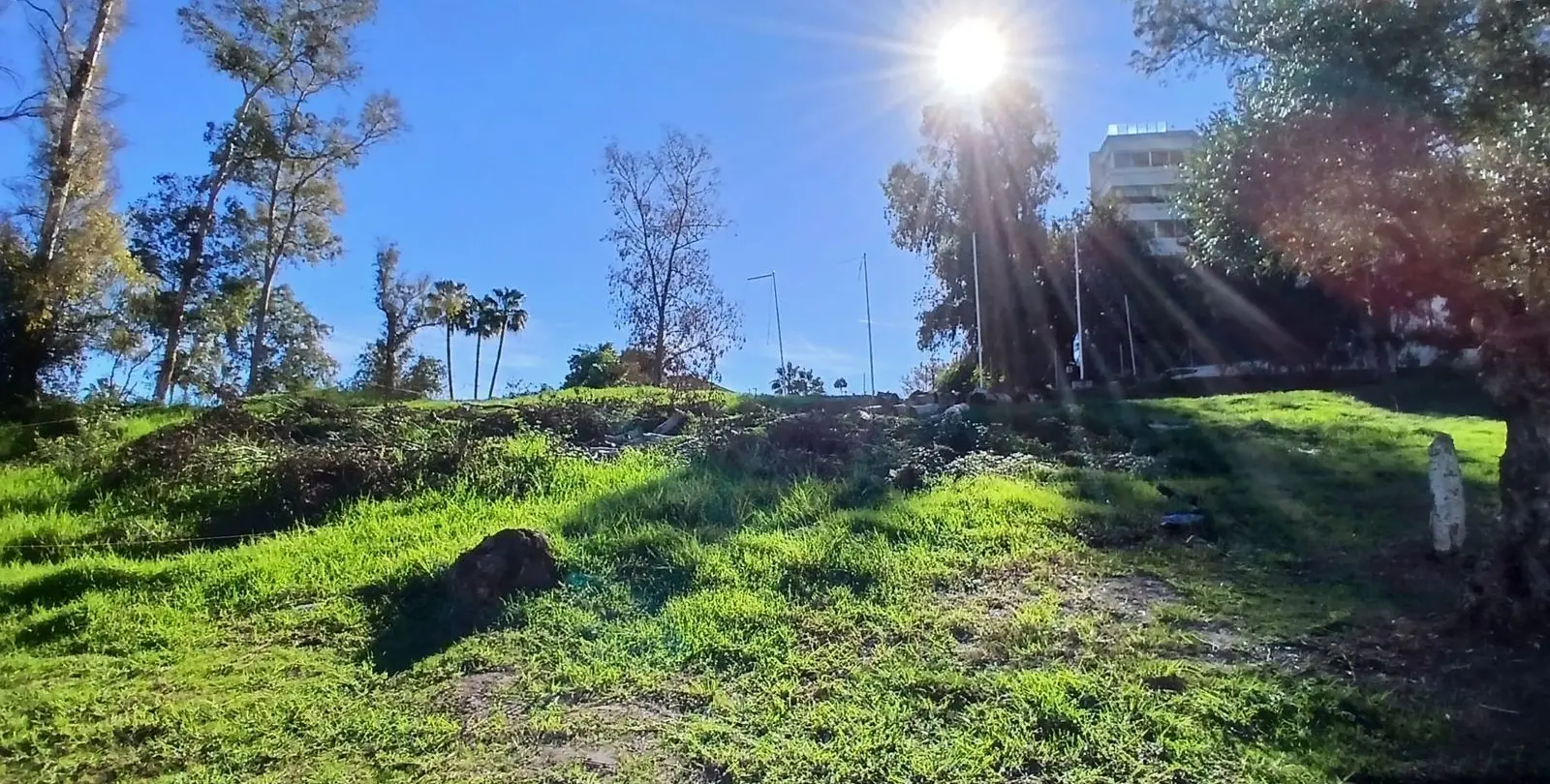 Venta de parcela residencial en Guadalmina Alta 7