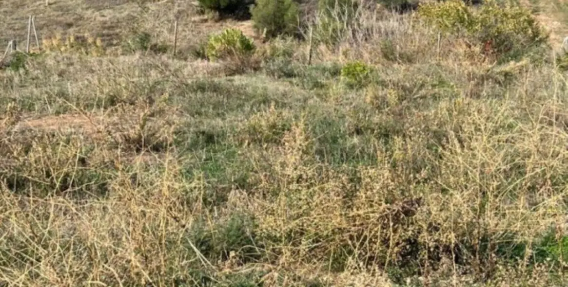 Продажа  жилого участка в Guadalmina Alta 6