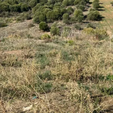 Sale of residential plot in Guadalmina Alta