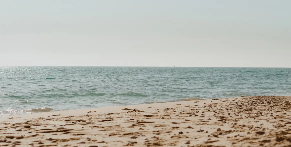 Sale of ground floor apartment in Marbella 16