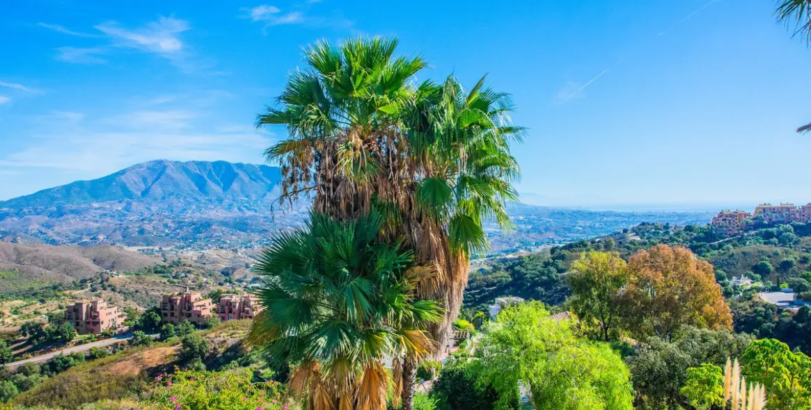 Sale of detached villa in La Mairena 3