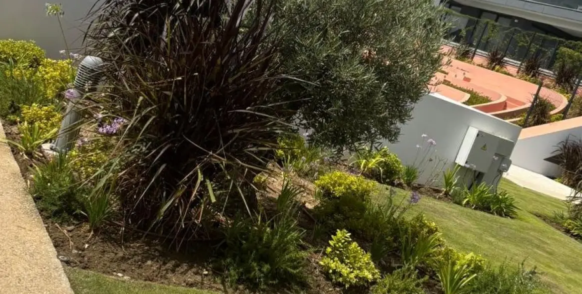 Long-term rent of ground floor apartment in Estepona 2