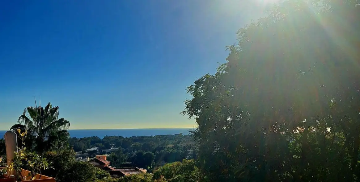 Sale of penthouse duplex in Elviria 36