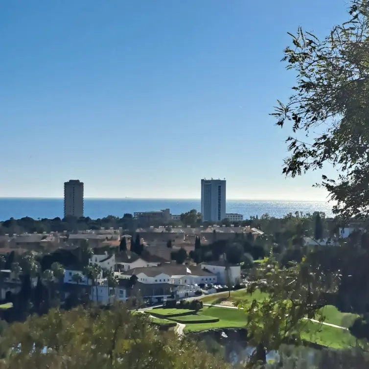 Sale of penthouse duplex in Elviria