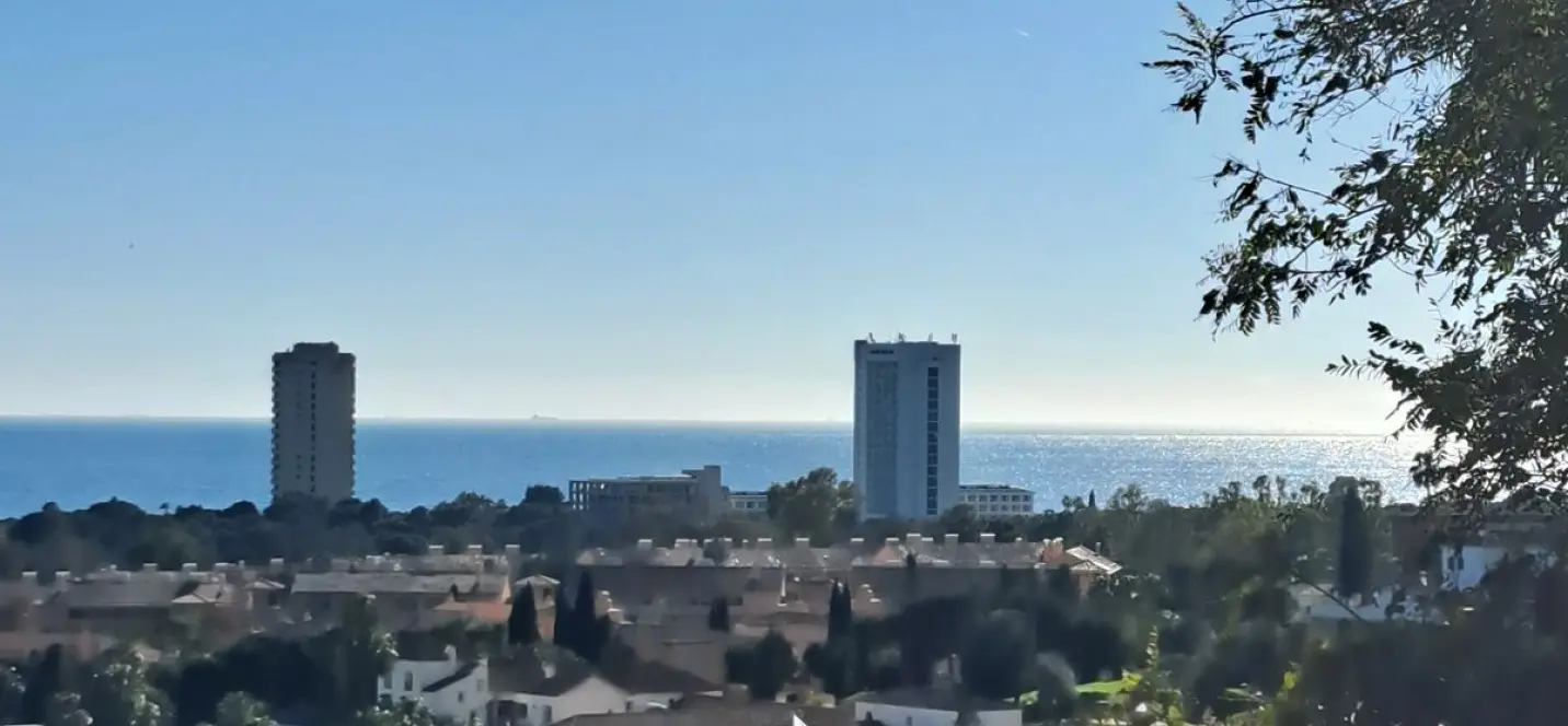 Sale of penthouse duplex in Elviria 0