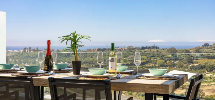 Sale of penthouse duplex in Cancelada 1