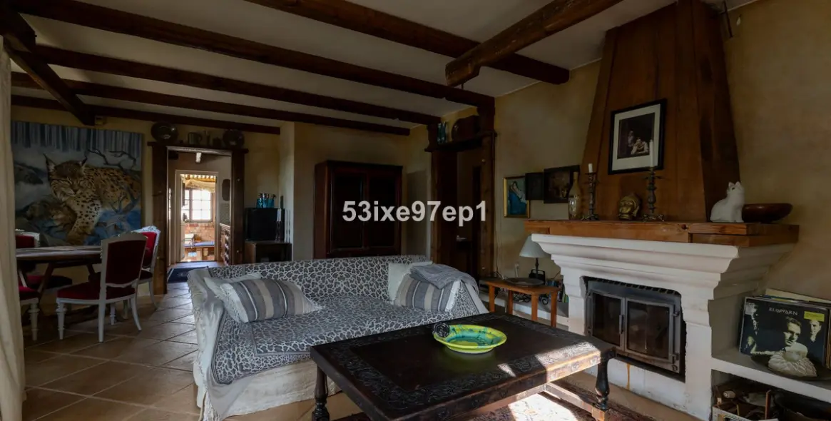 Sale of detached villa in Campo Mijas 3