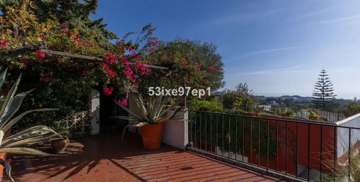 Sale of detached villa in Campo Mijas 12