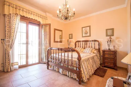 Image 11 thumb