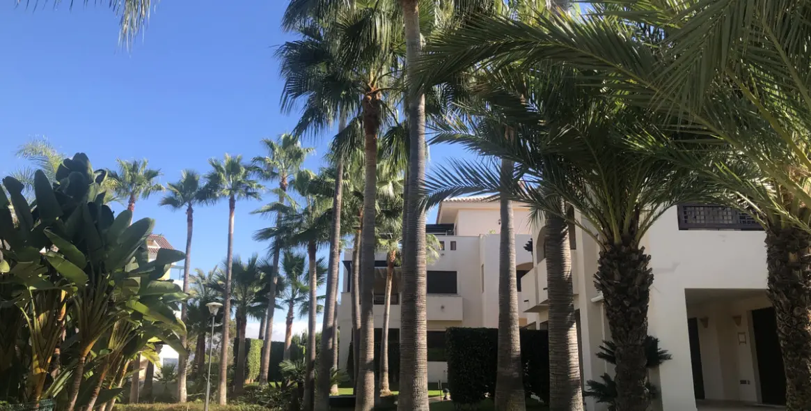 Sale of middle floor apartment in Nueva Andalucía 1