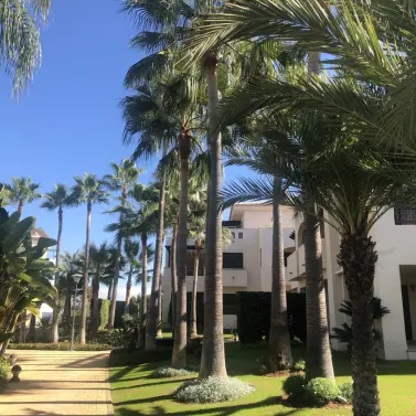 Sale of middle floor apartment in Nueva Andalucía