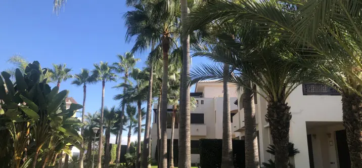 Sale of middle floor apartment in Nueva Andalucía 0