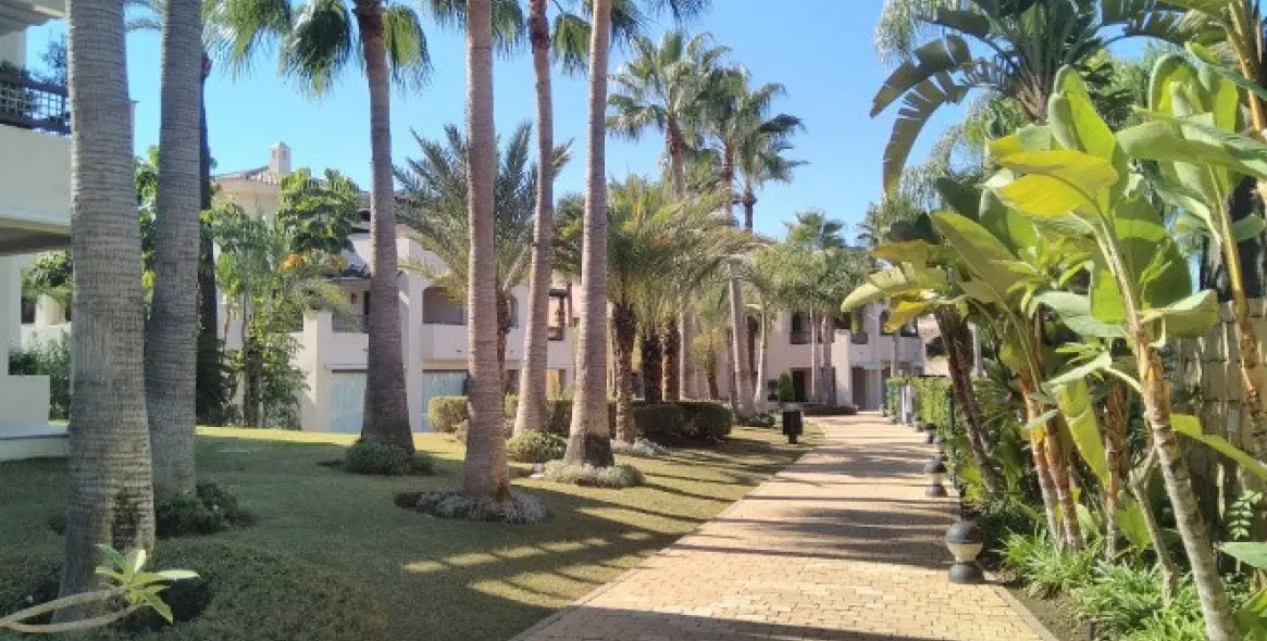 Sale of middle floor apartment in Nueva Andalucía 2