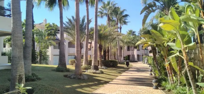 Sale of middle floor apartment in Nueva Andalucía 1