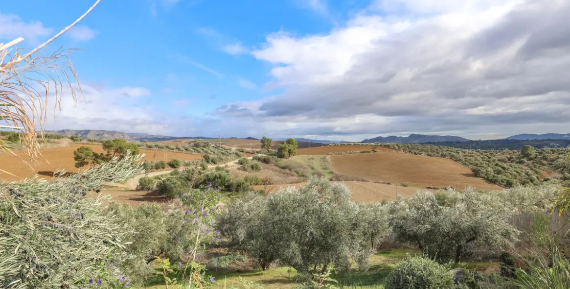 Sale of detached villa in Coín 3