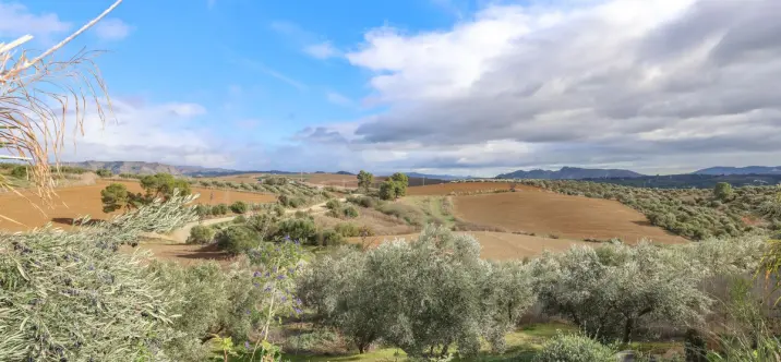 Sale of detached villa in Coín 2