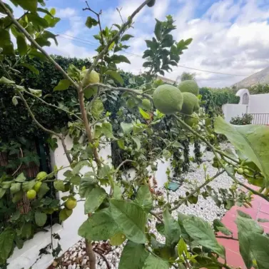 Oтдельно стоящая вилла R5231137