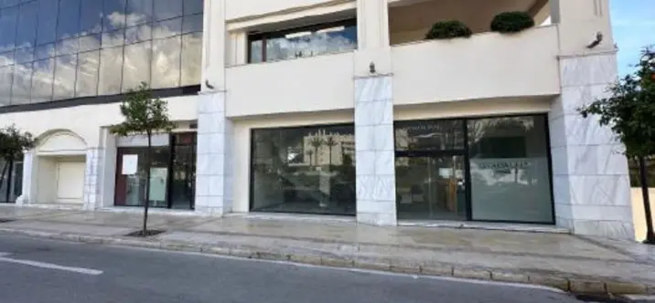 Long-term rent of other in Marbella 0