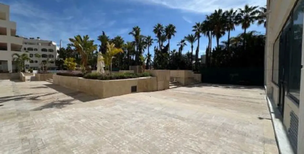 Long-term rent of other in Marbella 5