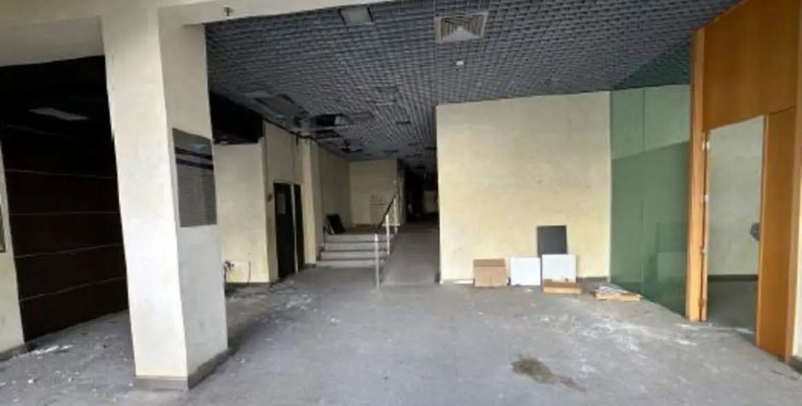 Long-term rent of other in Marbella 13