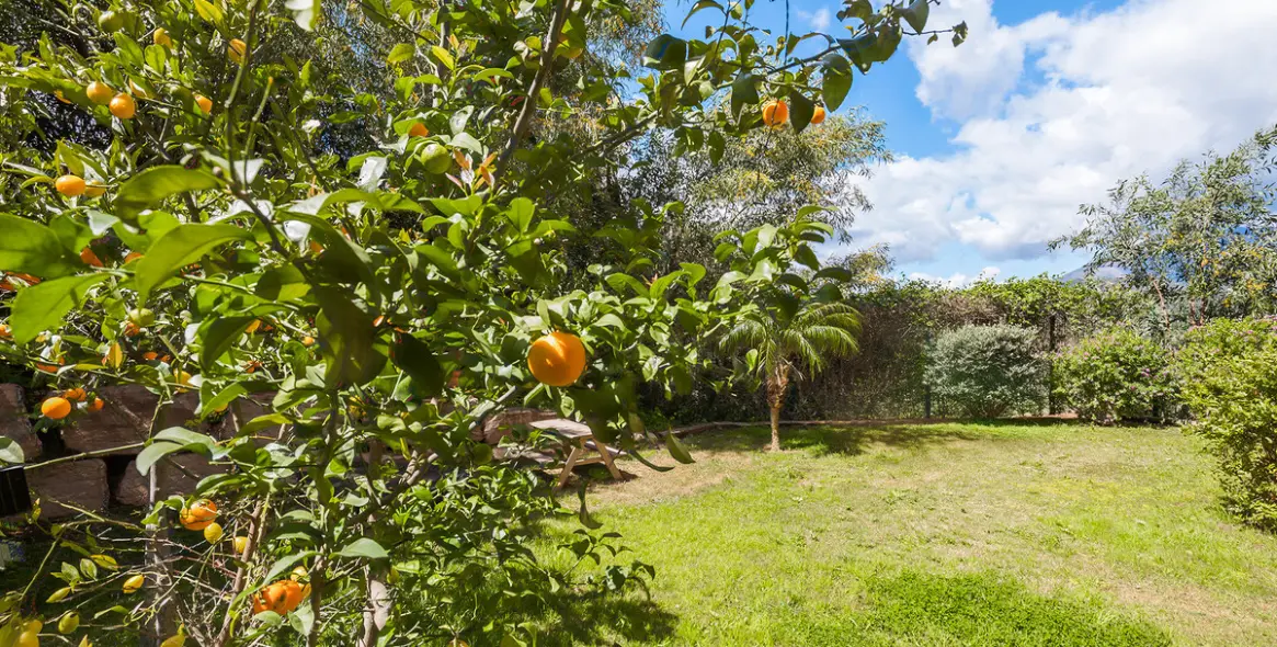 Sale of ground floor apartment in Benahavís 25