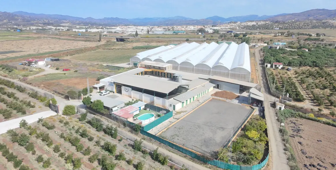 Sale of finca - cortijo in El Tomillar 2