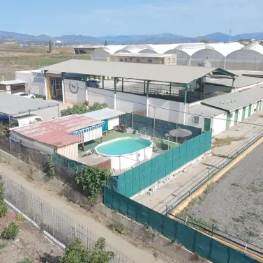 Venta de finca - cortijo en El Tomillar