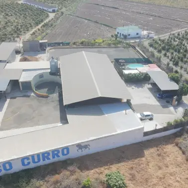 Venta de finca - cortijo en El Tomillar