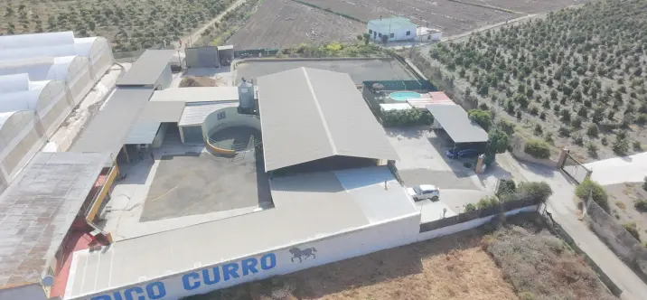 Venta de finca - cortijo en El Tomillar 3