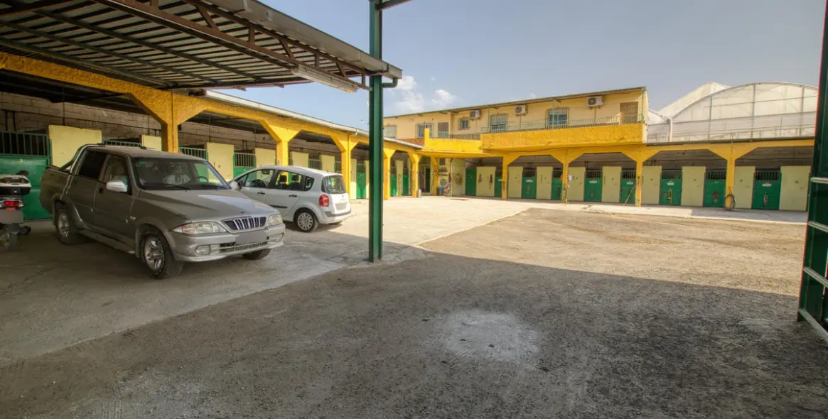 Sale of finca - cortijo in El Tomillar 10