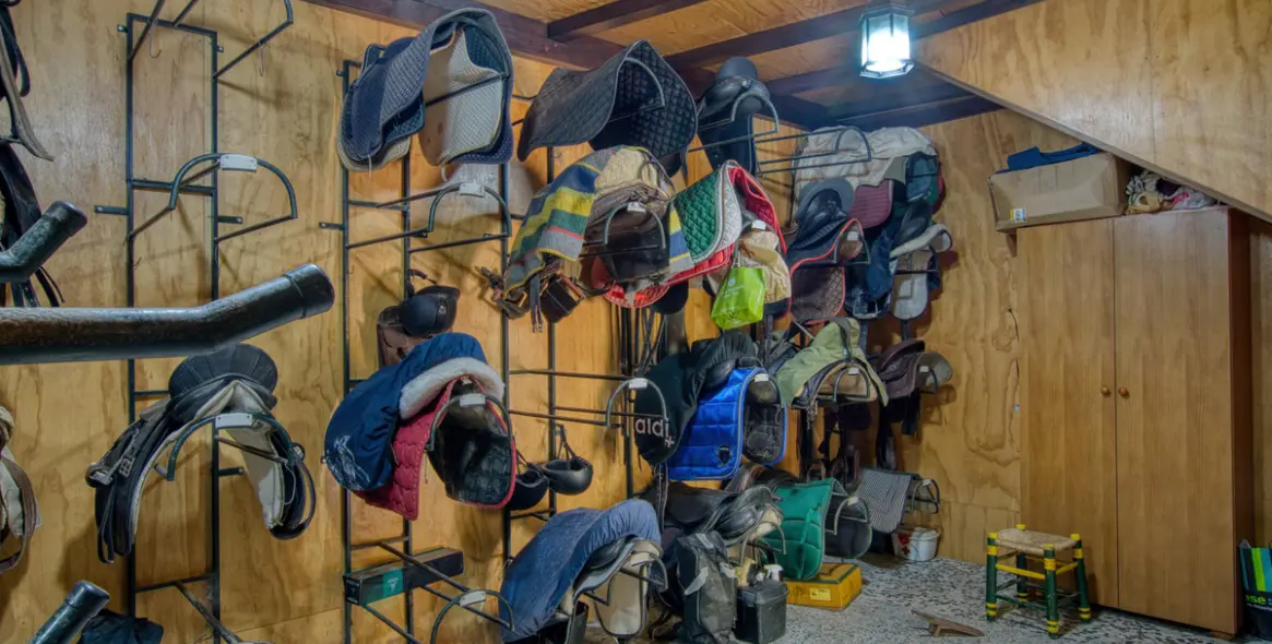 Sale of finca - cortijo in El Tomillar 13